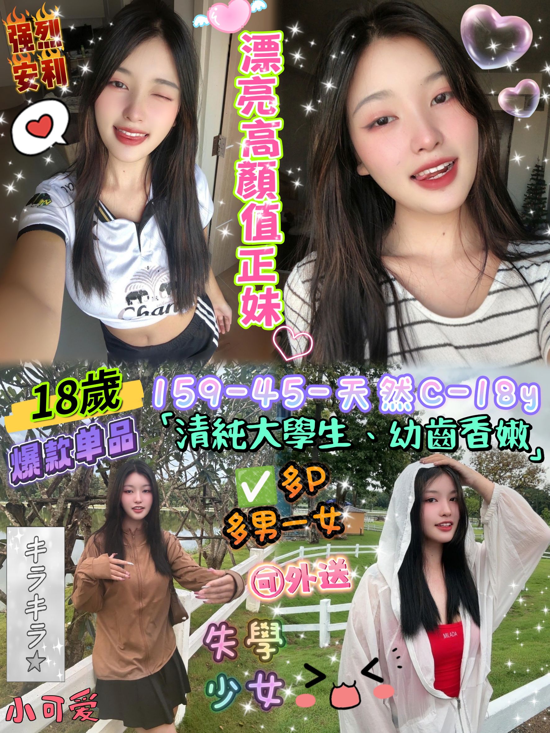 虹彩 土城定點茶 小模 25/36E